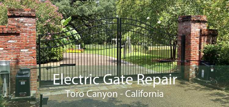 Electric Gate Repair Toro Canyon - California