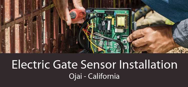 Electric Gate Sensor Installation Ojai - California