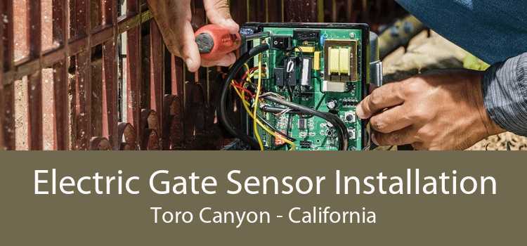 Electric Gate Sensor Installation Toro Canyon - California