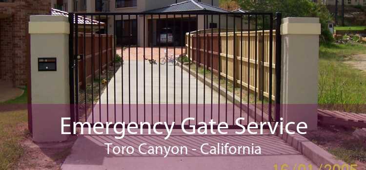 Emergency Gate Service Toro Canyon - California